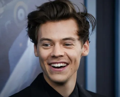 Harry Styles Net Worth and more 2024